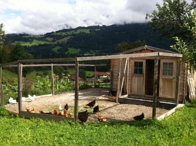 Appartamento Tuschnhof Rinn Esterno foto