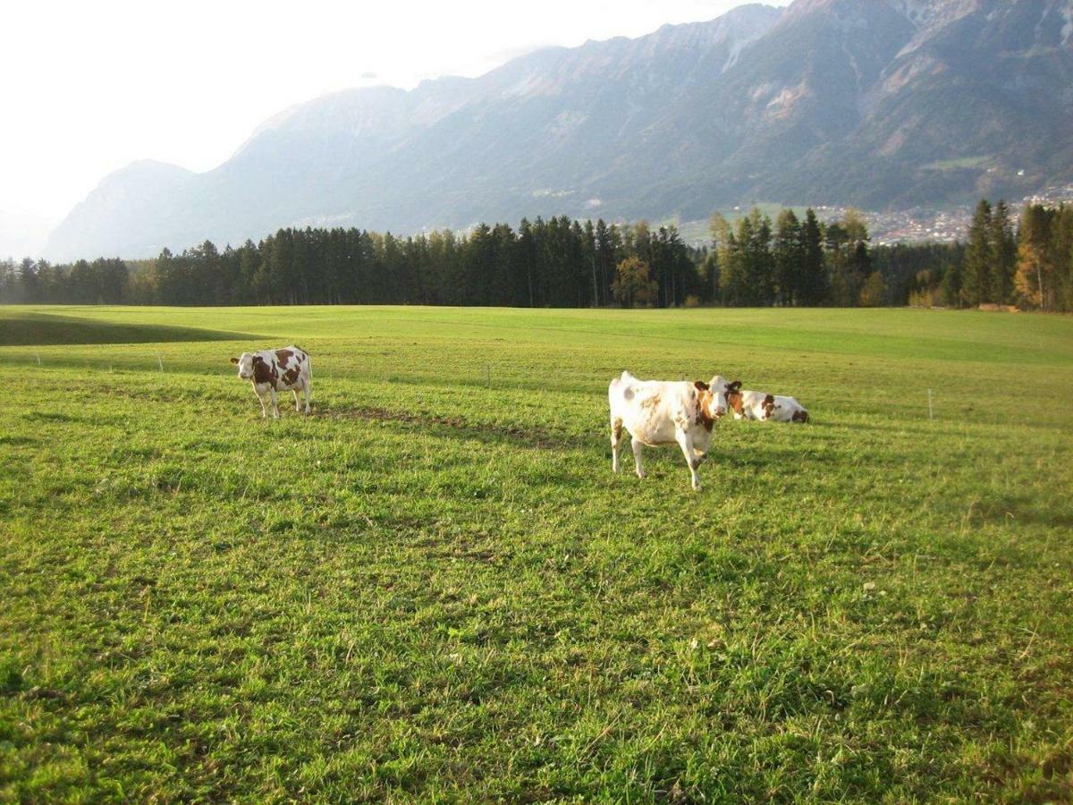 Appartamento Tuschnhof Rinn Esterno foto